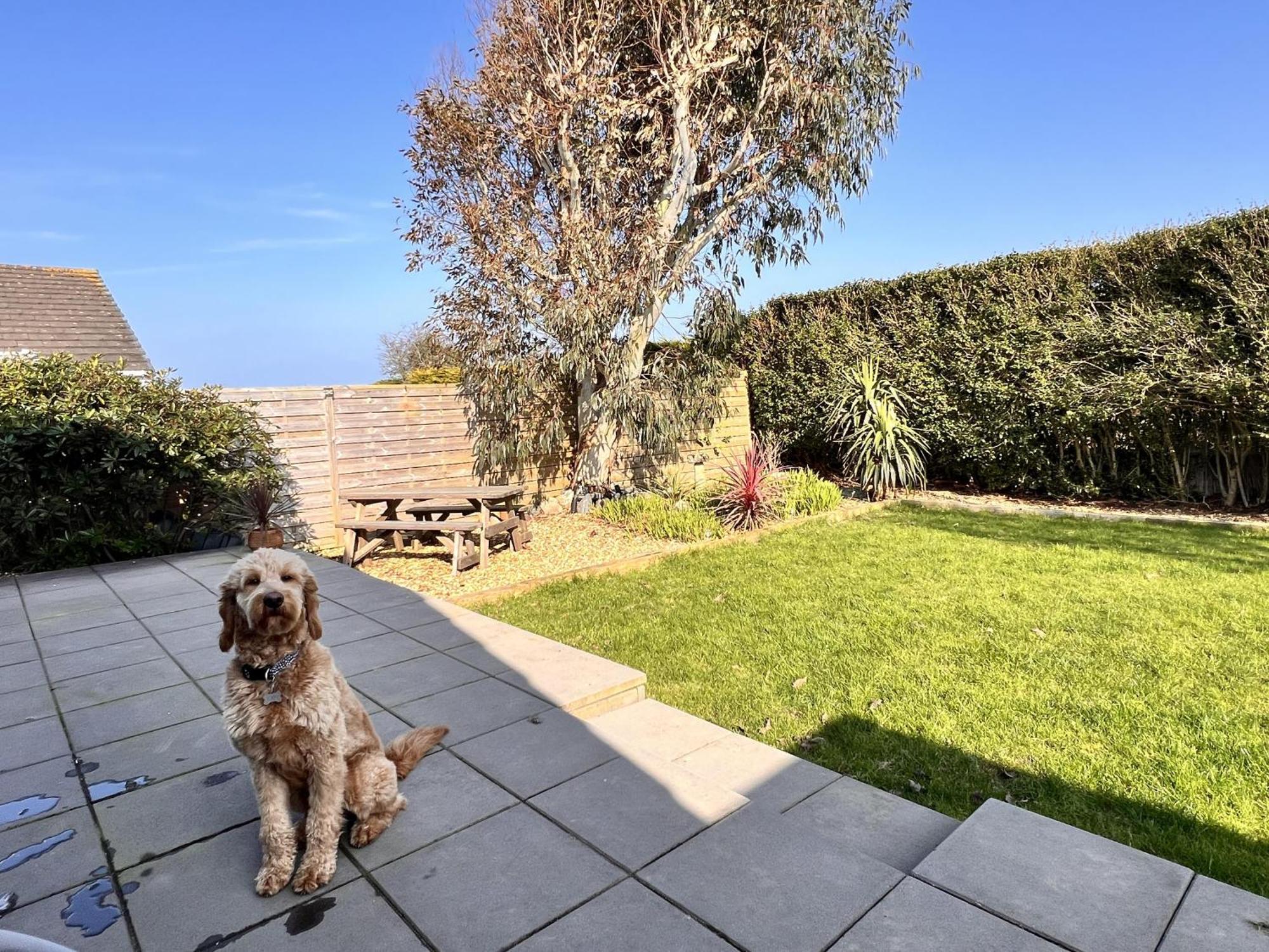 Stylish Modern Home With Parking Enclosed Garden Holyhead Bagian luar foto